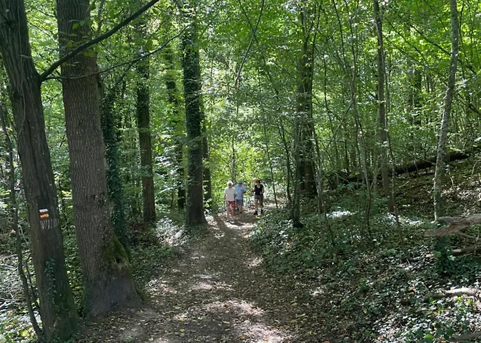 Coquelicot * Waulsort